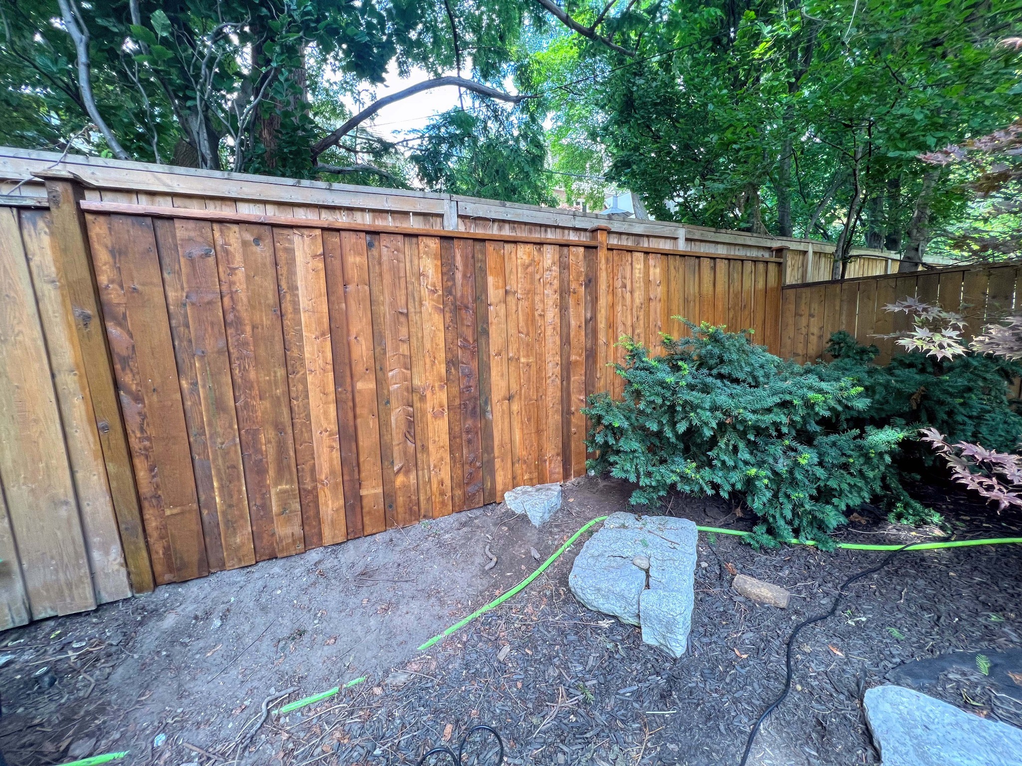 Fence repair and staining project